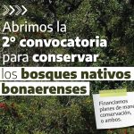 <strong>El Ministerio de Ambiente de la Provincia abrió convocatoria para presentación de Planes de Manejo de Bosques Nativos</strong>