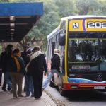 Transporte público gratuito en las elecciones provinciales y nacionales