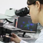 <strong>Ciencia y tecnología: la Provincia impulsa redes federales de investigación con universidades</strong>